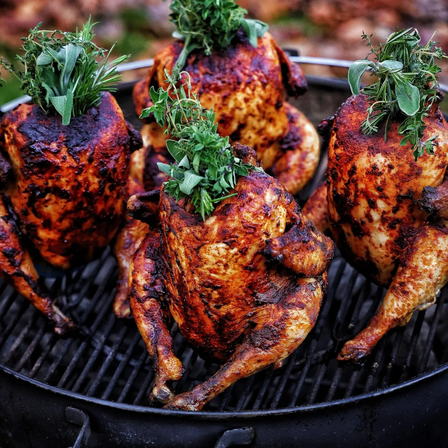 Four whole chickens, seasoned and roasted with fresh herbs, on a barbecue grill. Perfect for outdoor cooking lovers.