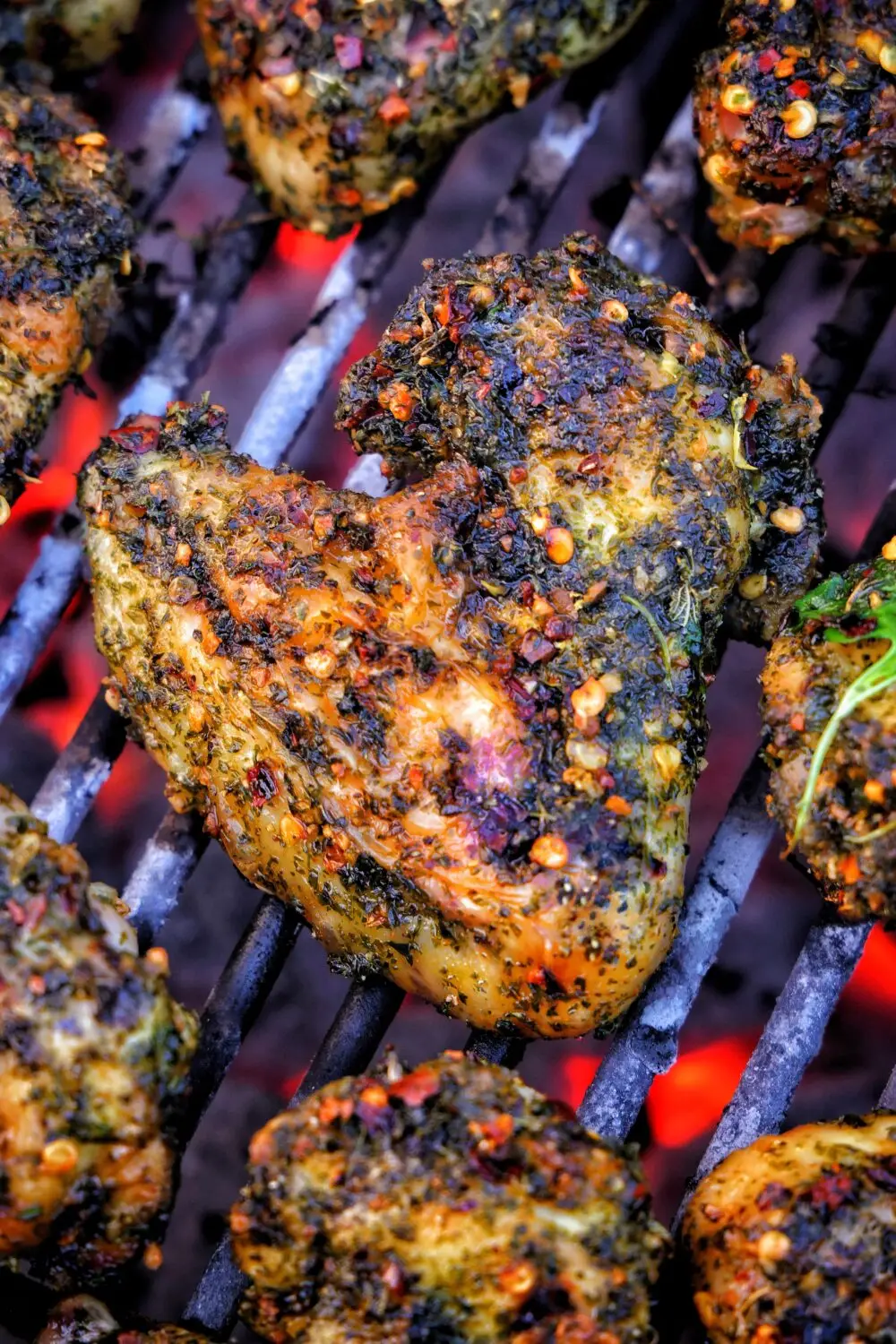 Grilled chicken with herbs and spices cooking on a barbecue grill with glowing coals.