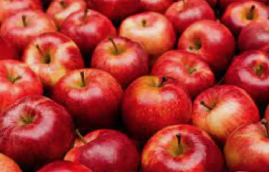 A close-up of fresh, red apples piled together, showcasing their vibrant color and natural sheen.
