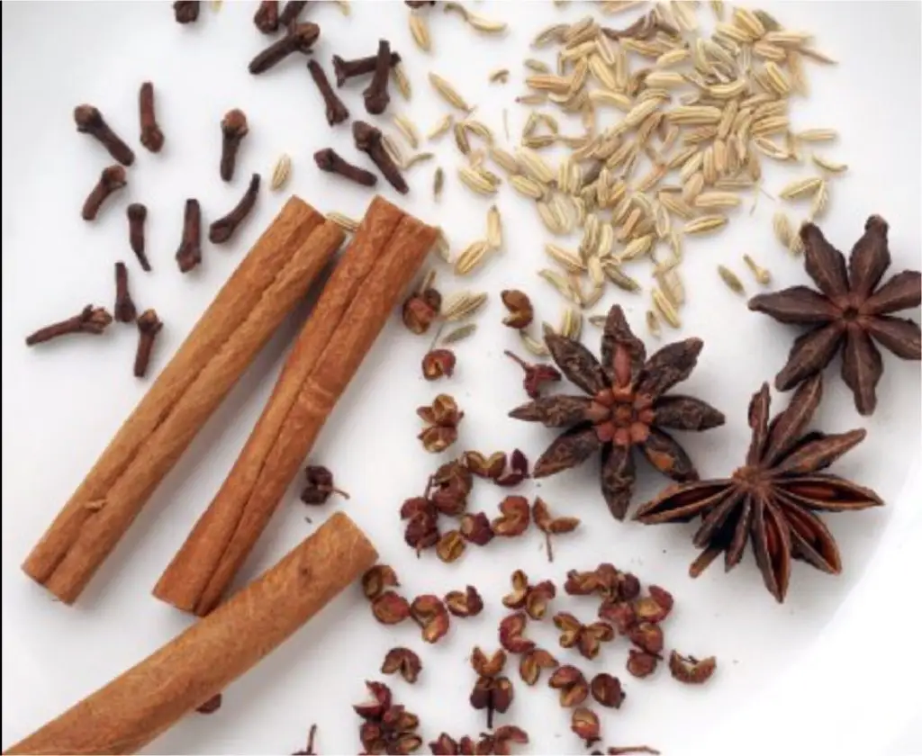 Spices on white background: cinnamon sticks, star anise, fennel seeds, cloves, and Sichuan peppercorns.